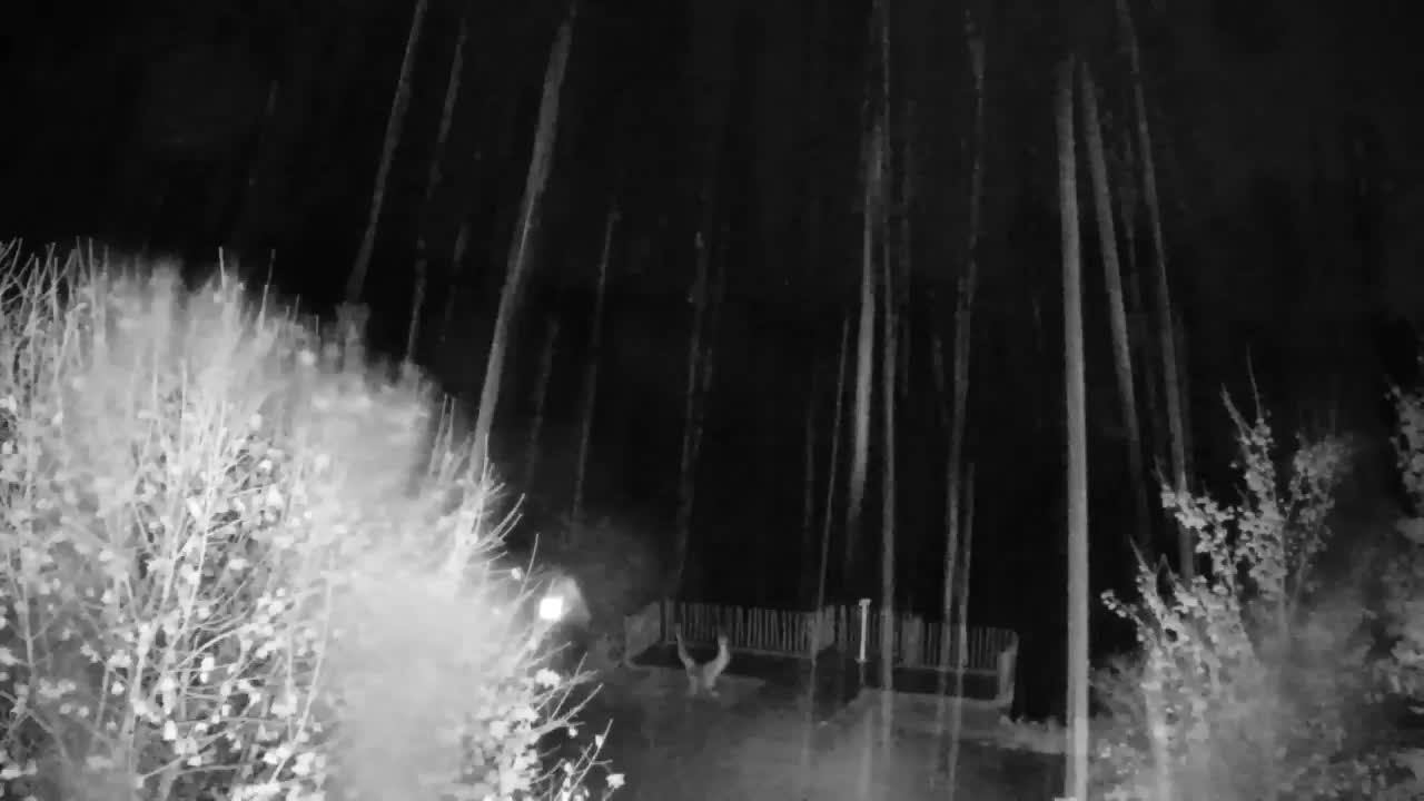 Webcam Ribnik Vrbje – Žalec