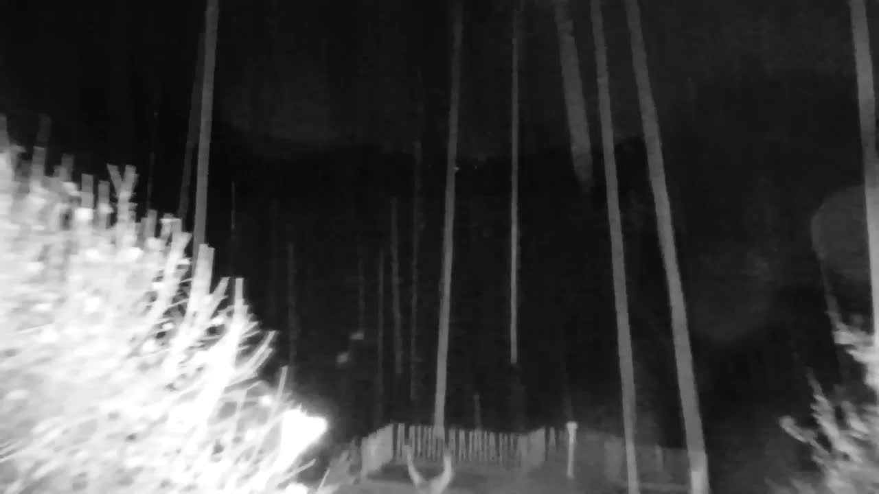 Webcam Ribnik Vrbje – Žalec