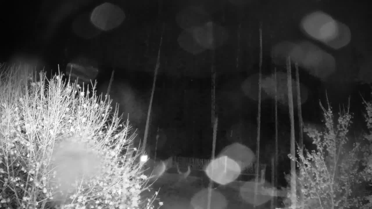 Spletna kamera Ribnik Vrbje – Žalec