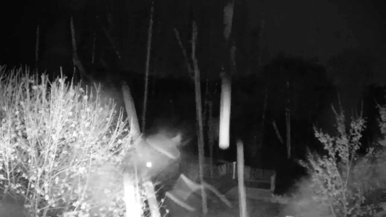 Webcam Ribnik Vrbje – Žalec