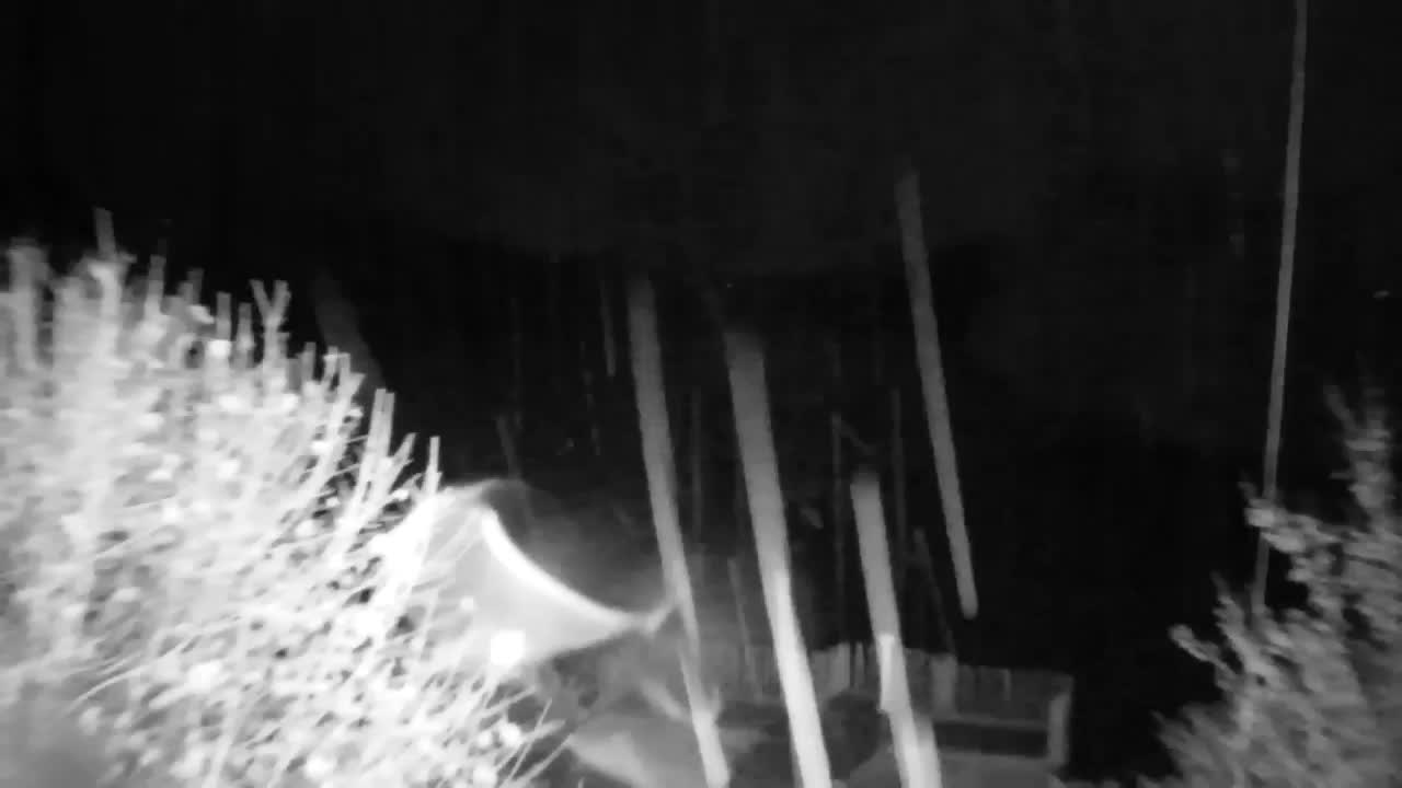 Webcam Ribnik Vrbje – Žalec