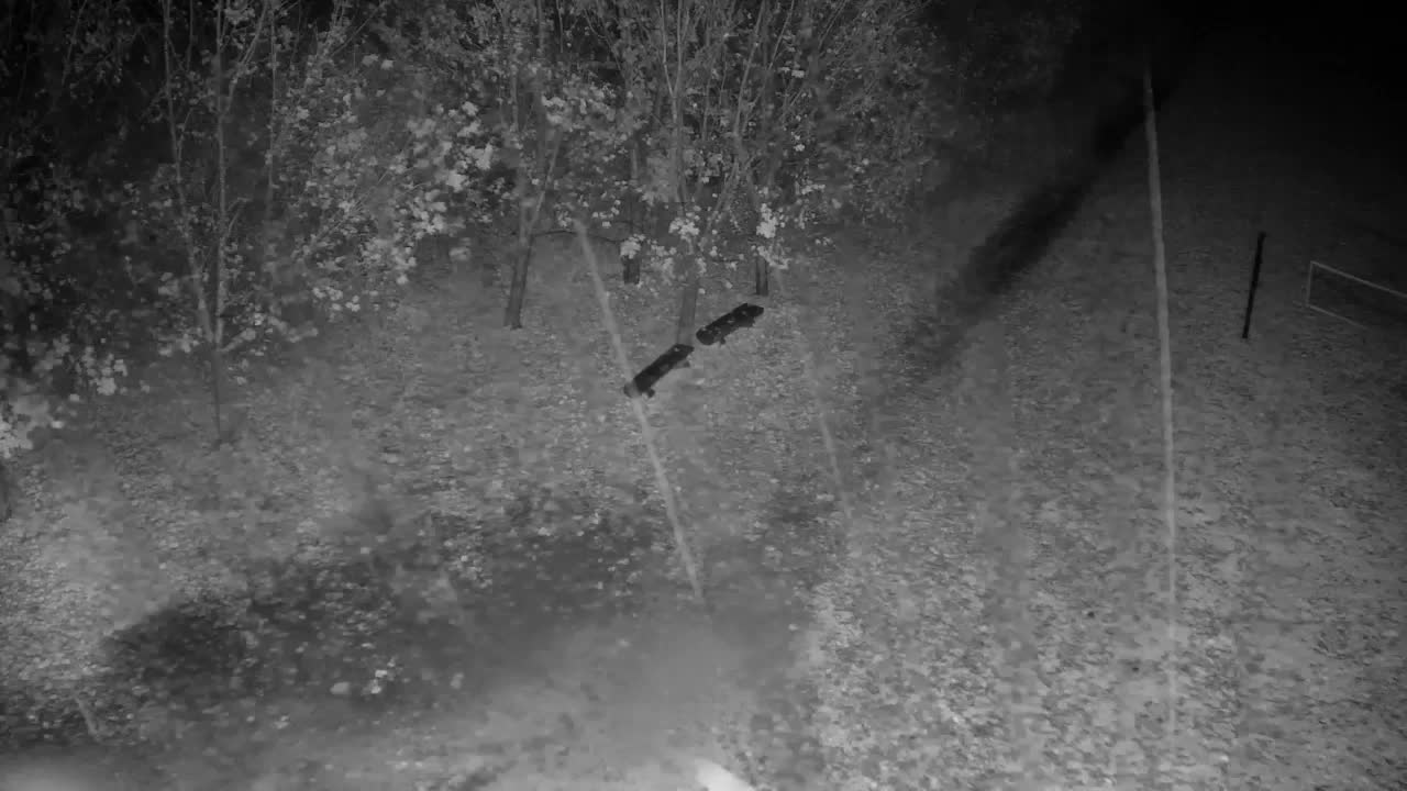 Spletna kamera Ribnik Vrbje – Žalec