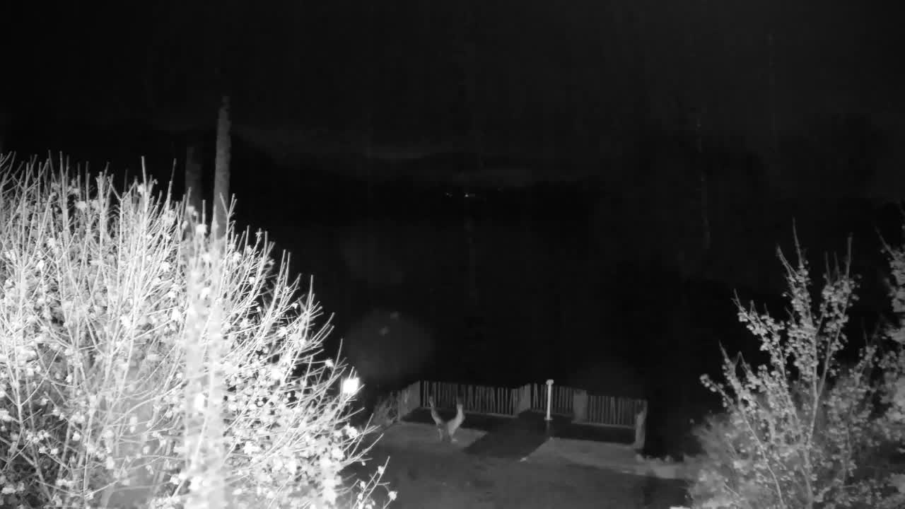 Webcam Ribnik Vrbje – Žalec