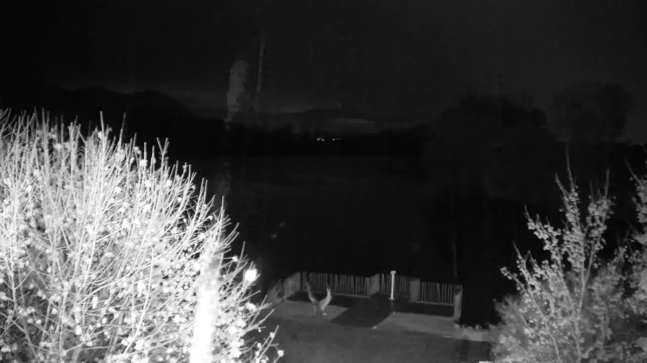 Webcam Ribnik Vrbje – Žalec