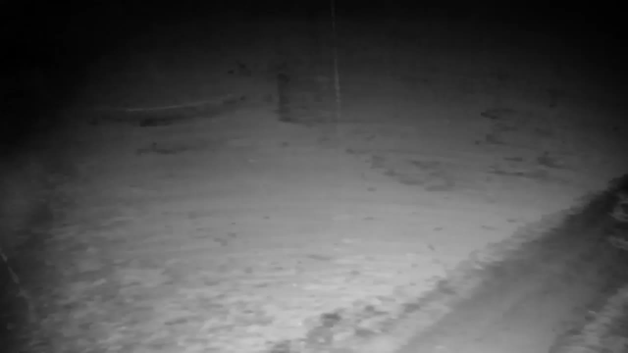 Webcam Ribnik Vrbje – Žalec