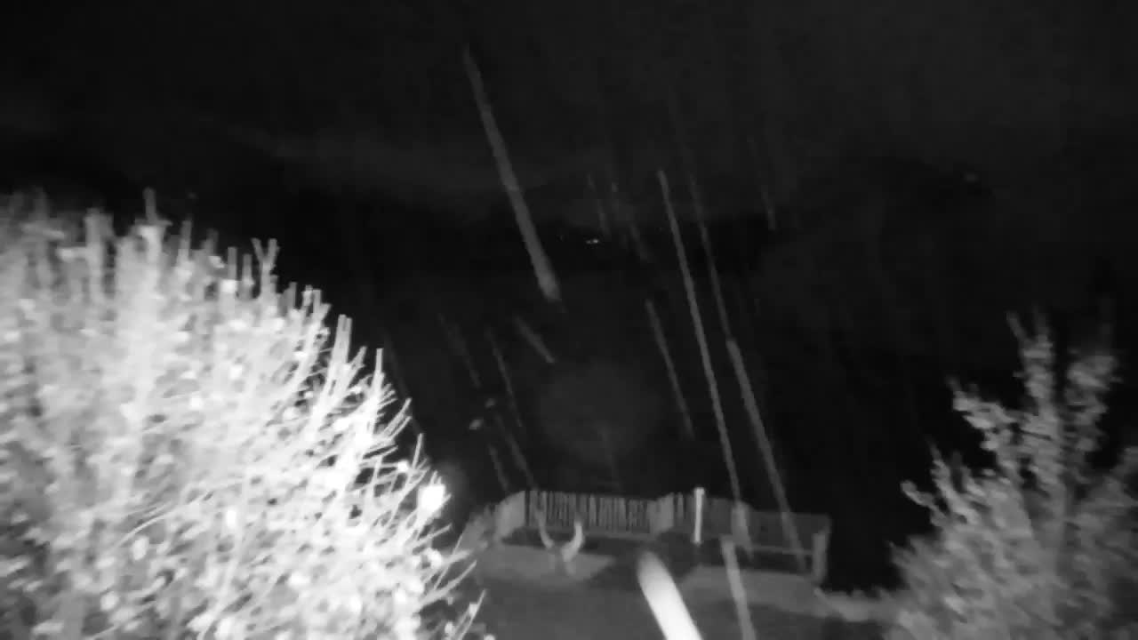 Webcam Ribnik Vrbje – Žalec