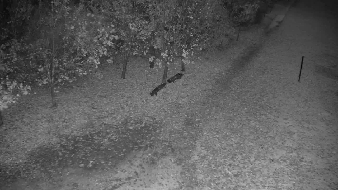 Spletna kamera Ribnik Vrbje – Žalec