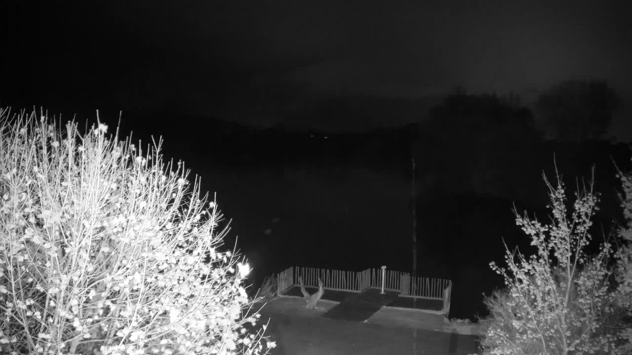 Webcam Ribnik Vrbje – Žalec