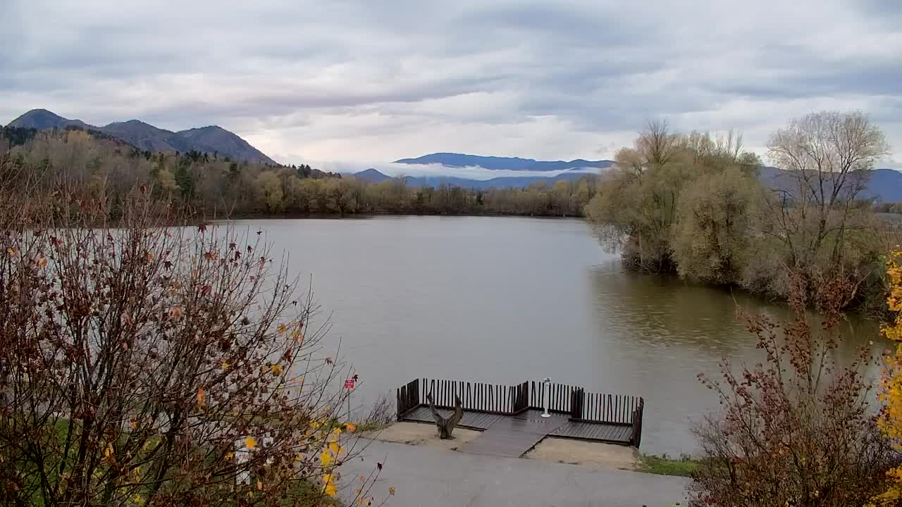 Spletna kamera Ribnik Vrbje – Žalec