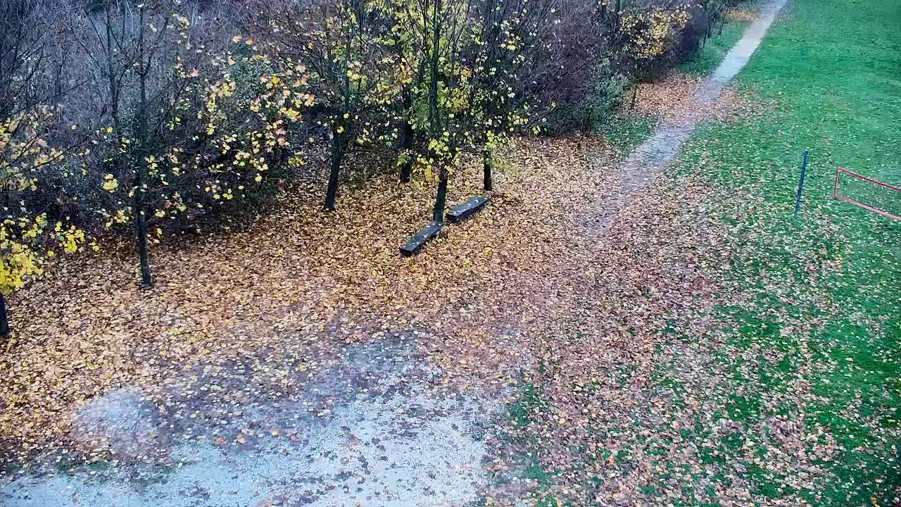 Spletna kamera Ribnik Vrbje – Žalec