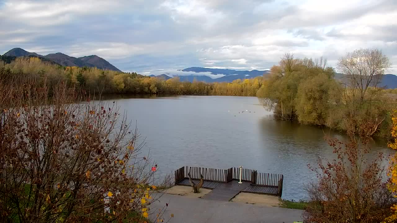 Webcam Ribnik Vrbje – Žalec