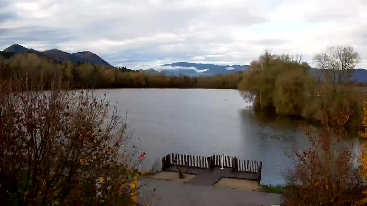 Webcam Ribnik Vrbje – Žalec