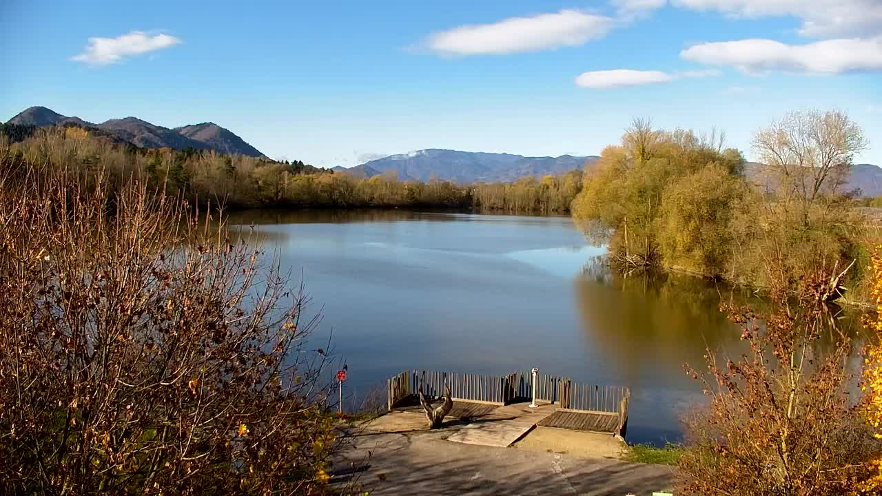 Spletna kamera Ribnik Vrbje – Žalec