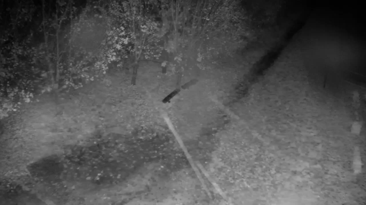 Webcam Ribnik Vrbje – Žalec