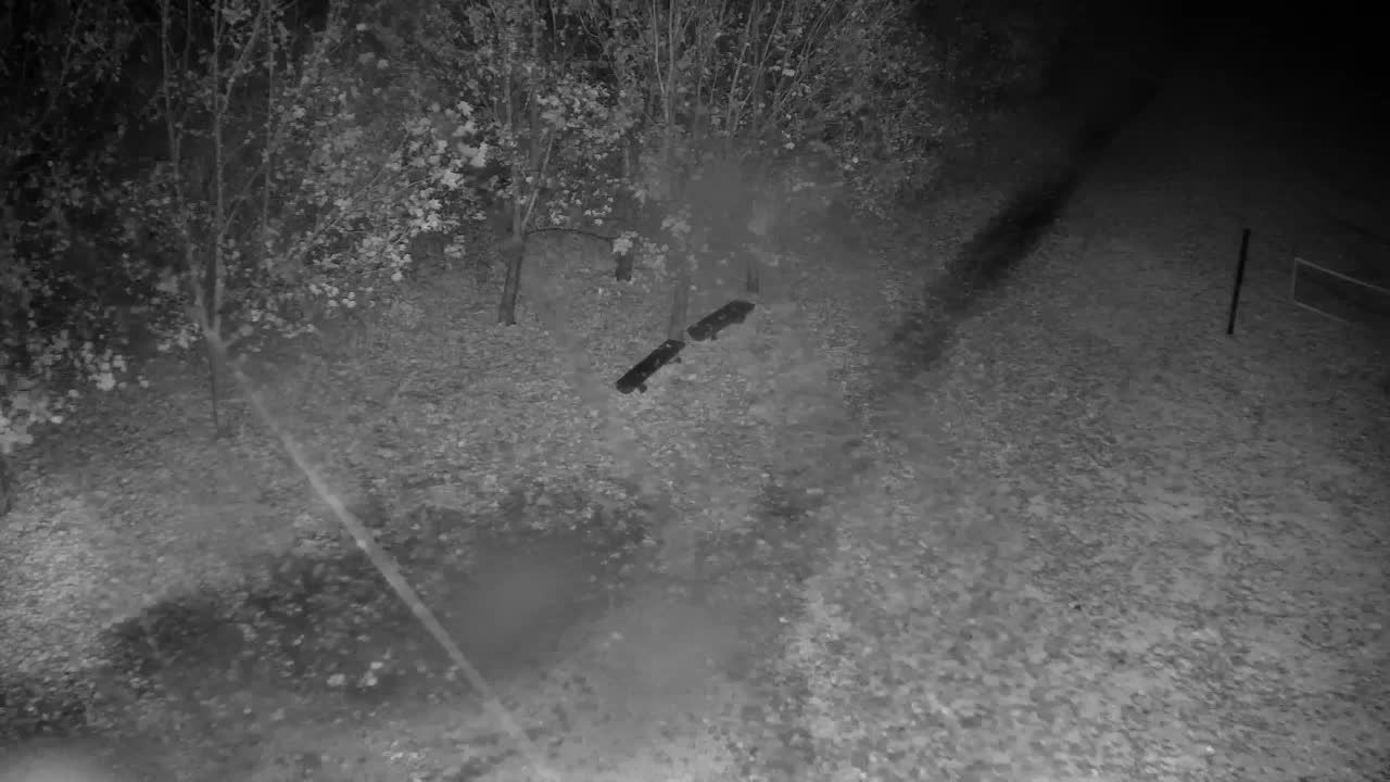 Web kamera Ribnik Vrbje – Žalec