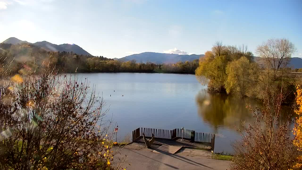 Webcam Ribnik Vrbje – Žalec