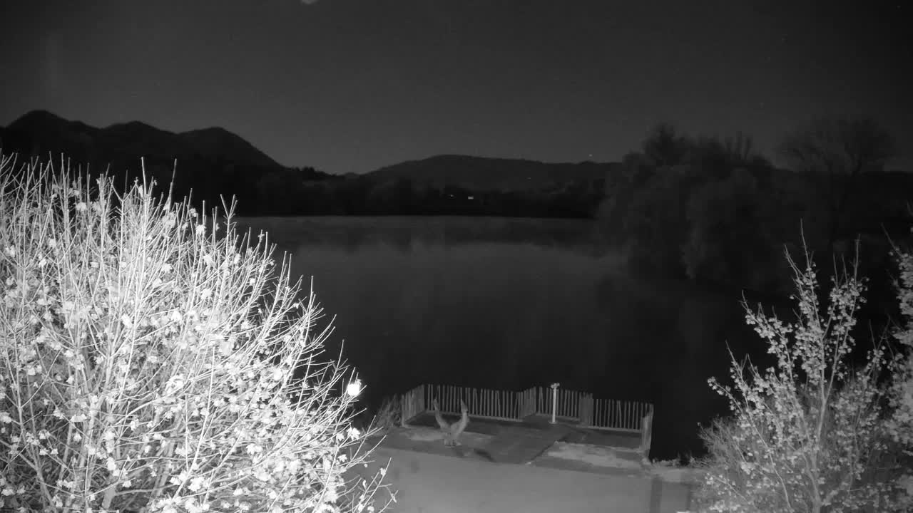 Webcam Ribnik Vrbje – Žalec