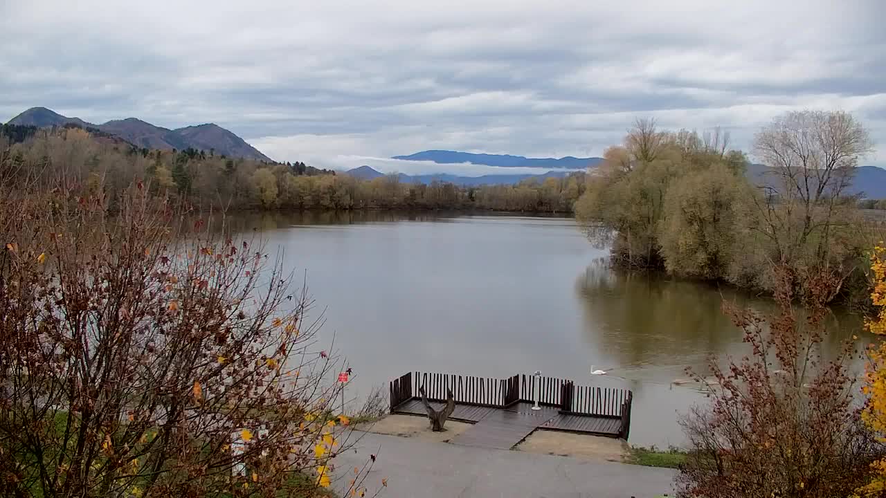 Webcam Ribnik Vrbje – Žalec