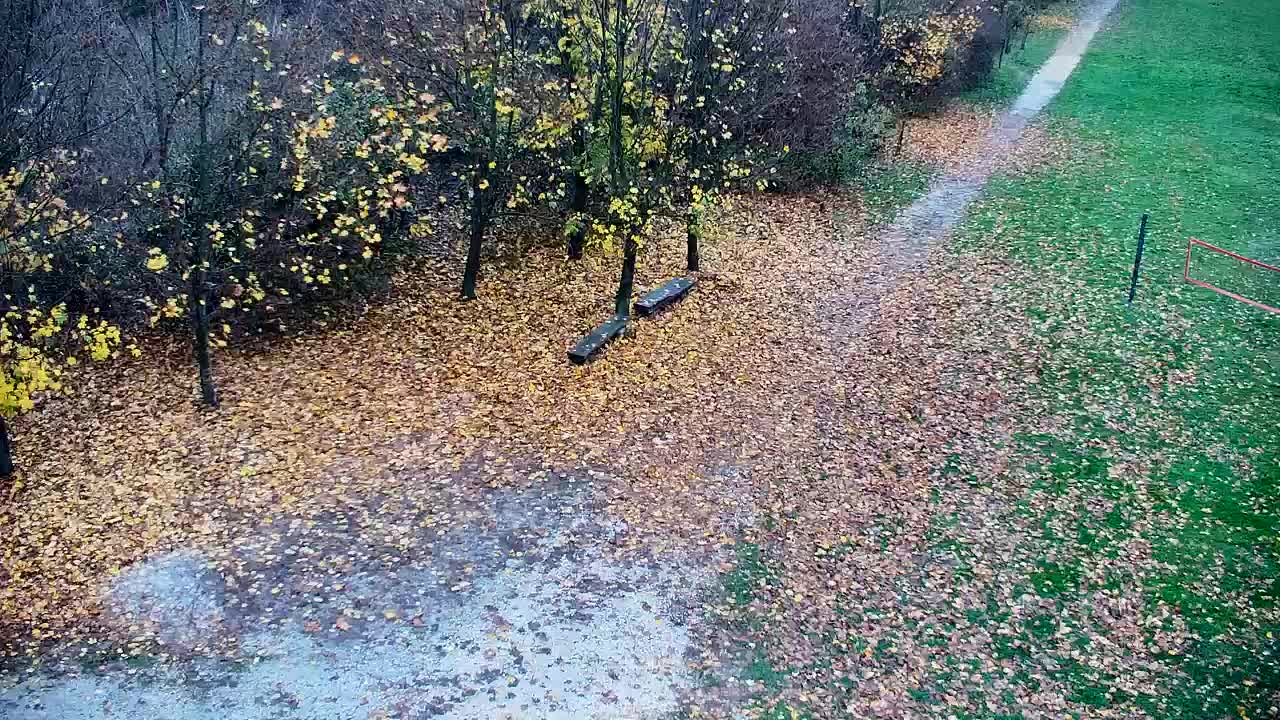 Webcam Ribnik Vrbje – Žalec