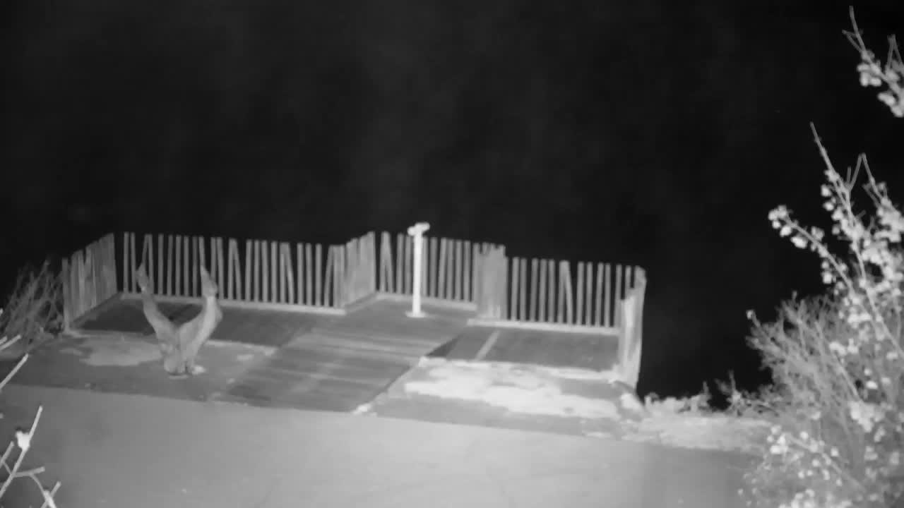 Spletna kamera Ribnik Vrbje – Žalec