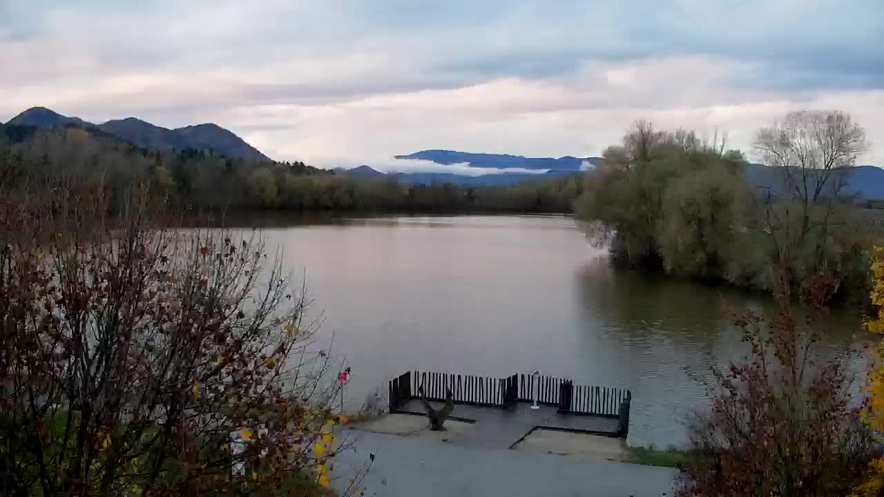 Webcam Ribnik Vrbje – Žalec