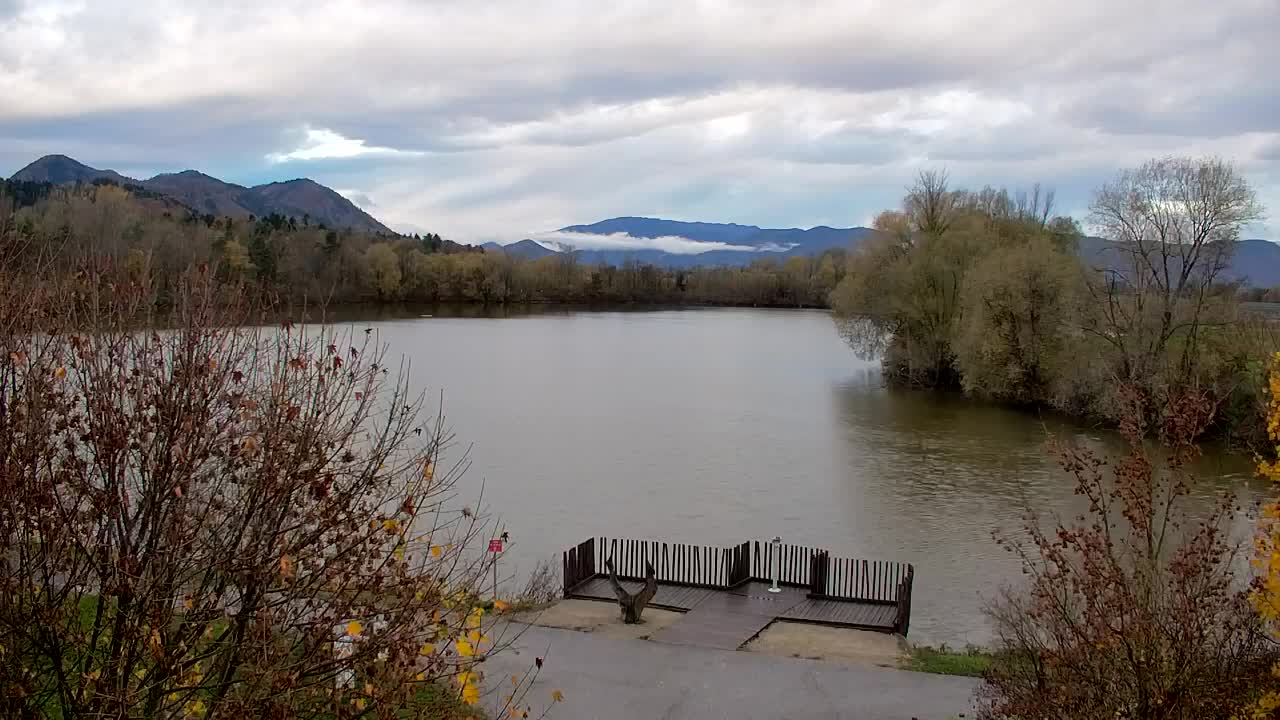 Webcam Ribnik Vrbje – Žalec