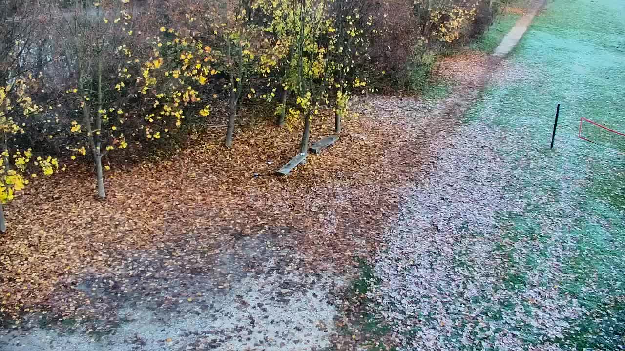 Spletna kamera Ribnik Vrbje – Žalec