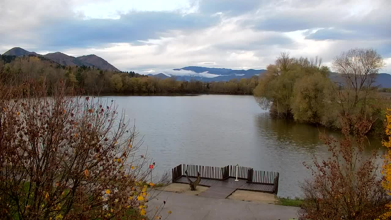 Webcam Ribnik Vrbje – Žalec