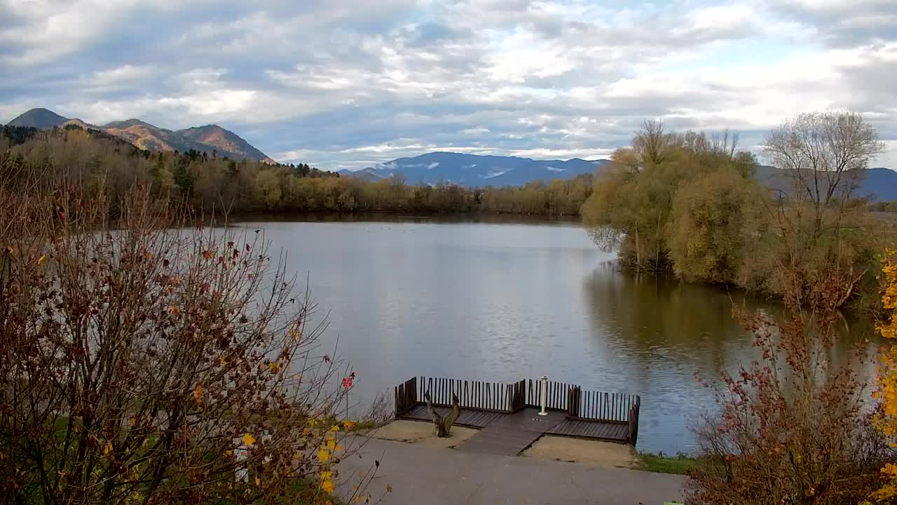 Webcam Ribnik Vrbje – Žalec