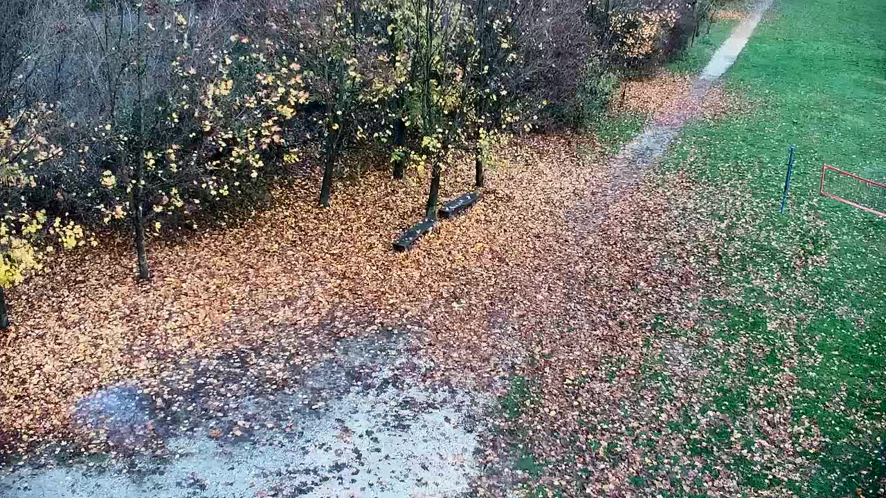 Webcam Ribnik Vrbje – Žalec