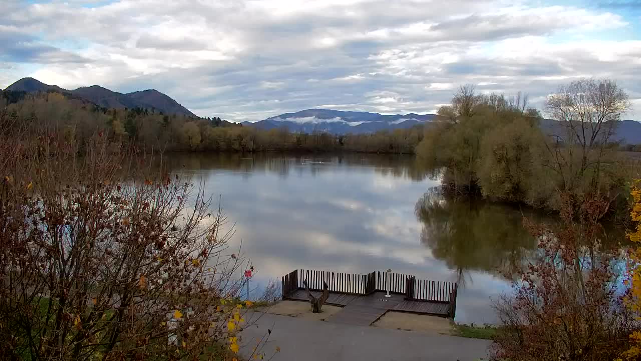 Webcam Ribnik Vrbje – Žalec