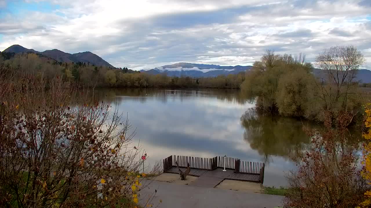 Webcam Ribnik Vrbje – Žalec