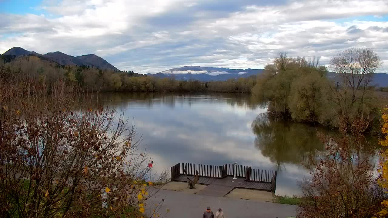 Webcam Ribnik Vrbje – Žalec