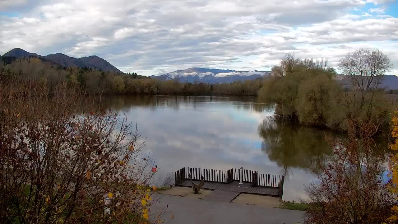 Webcam Ribnik Vrbje – Žalec