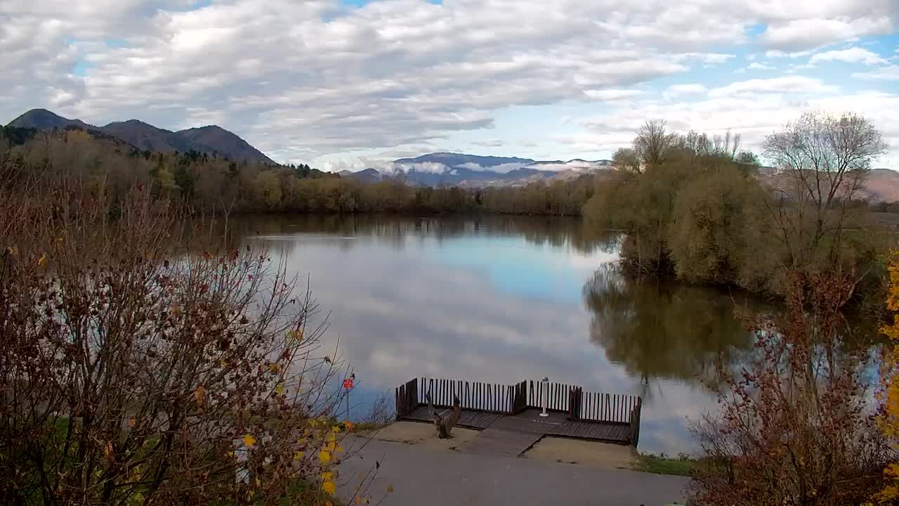 Webcam Ribnik Vrbje – Žalec