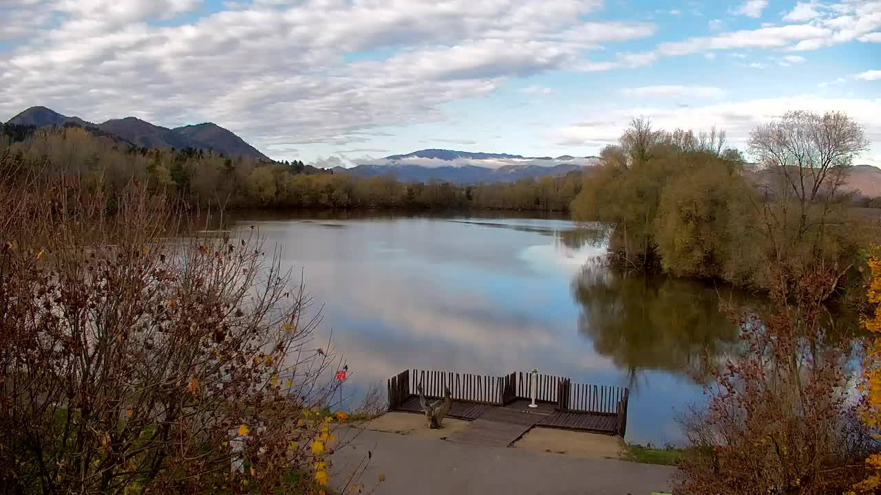 Web kamera Ribnik Vrbje – Žalec