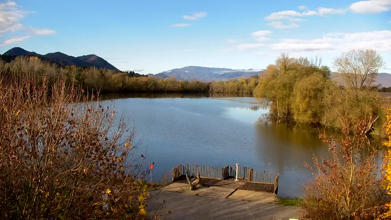 Webcam Ribnik Vrbje – Žalec