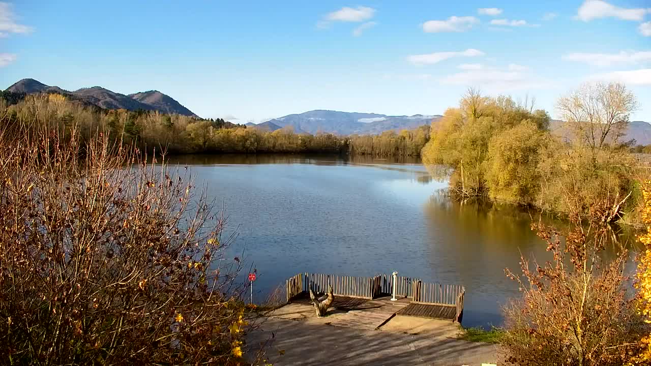 Webcam Ribnik Vrbje – Žalec