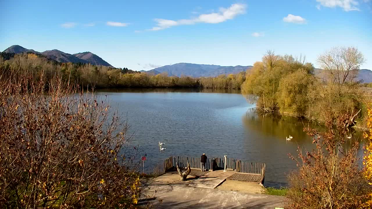 Webcam Ribnik Vrbje – Žalec