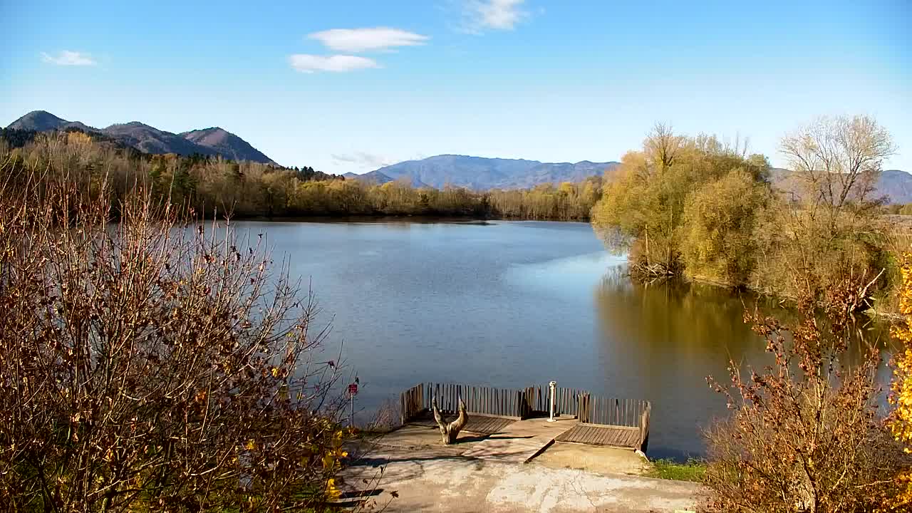 Webcam Ribnik Vrbje – Žalec