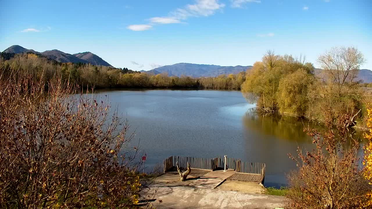Webcam Ribnik Vrbje – Žalec