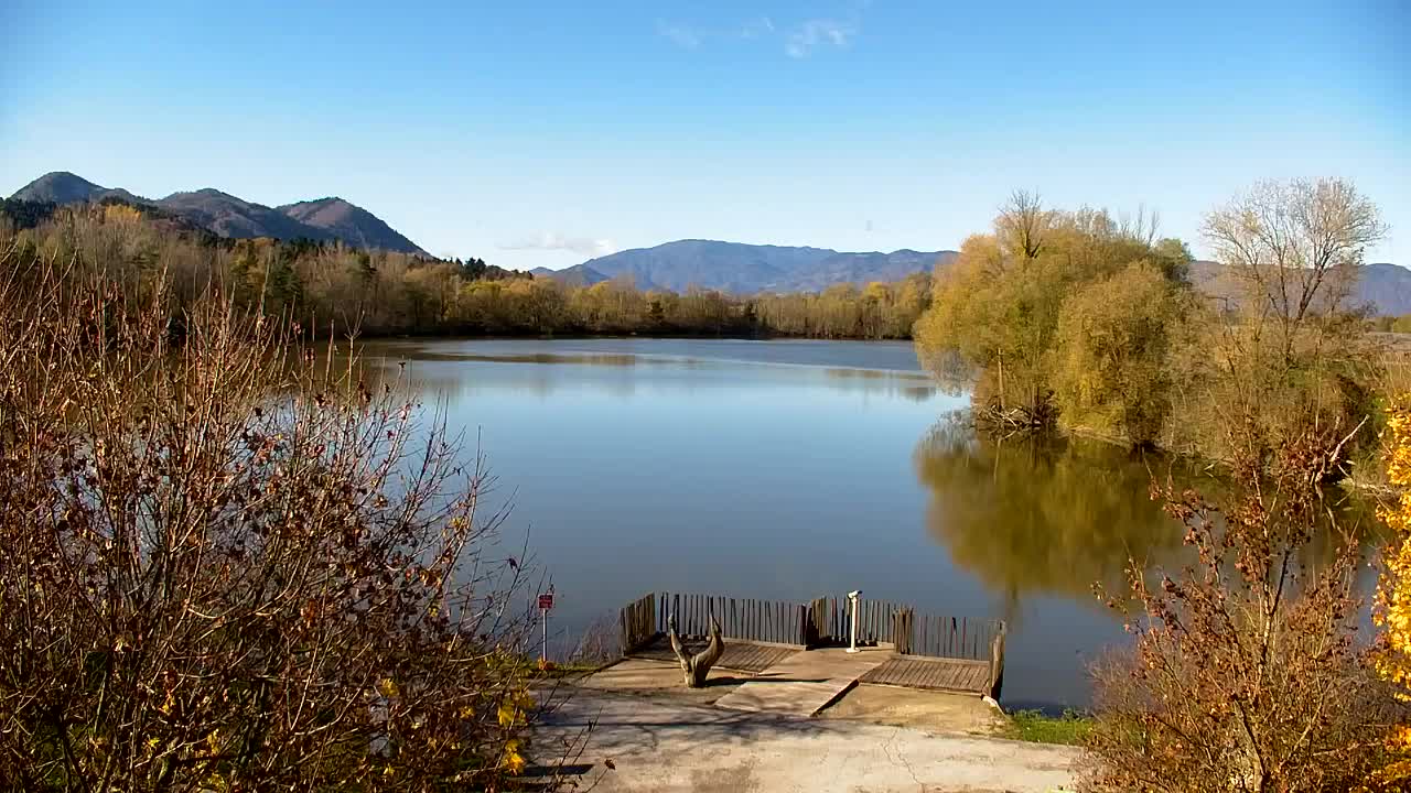 Webcam Ribnik Vrbje – Žalec