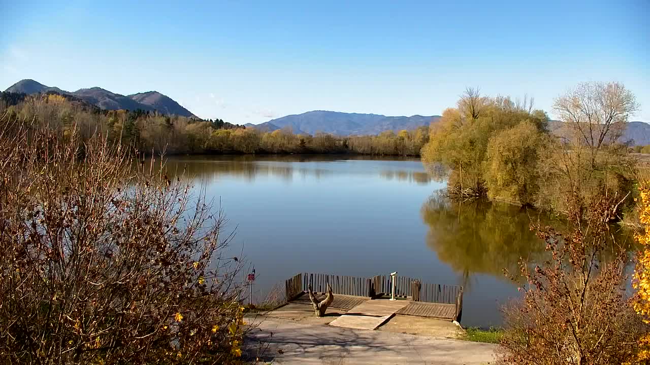 Webcam Ribnik Vrbje – Žalec