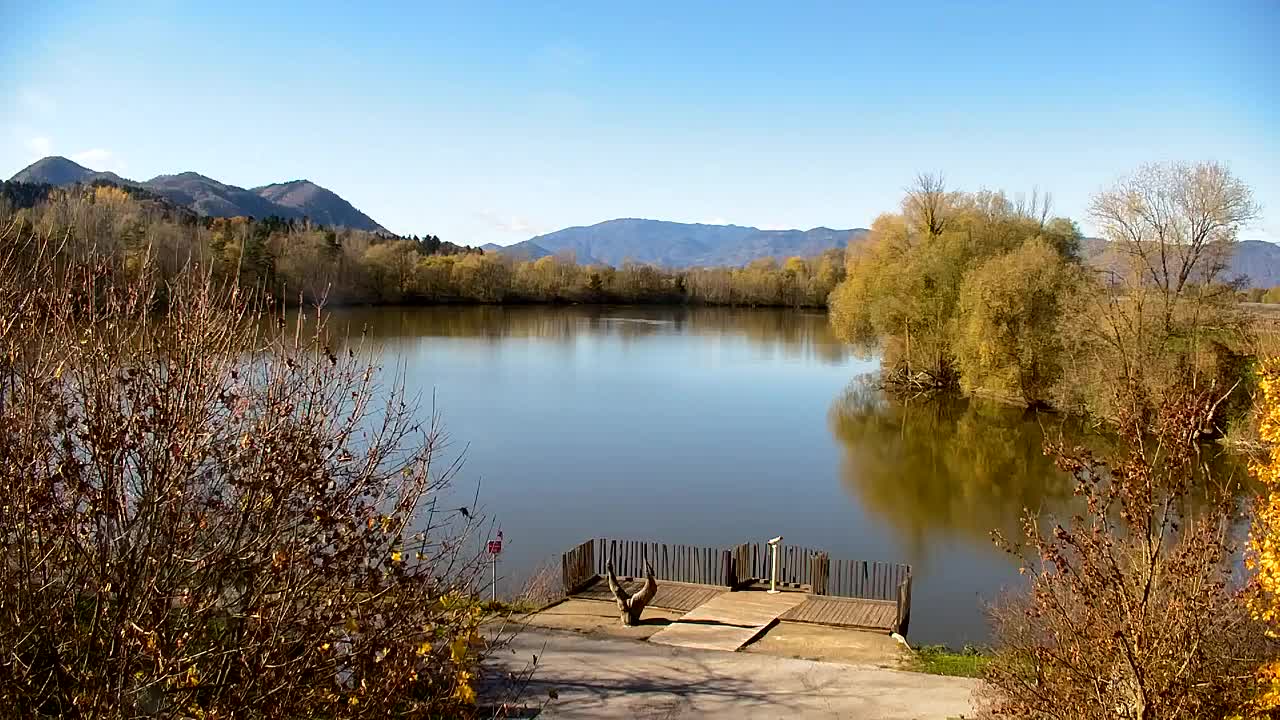 Webcam Ribnik Vrbje – Žalec