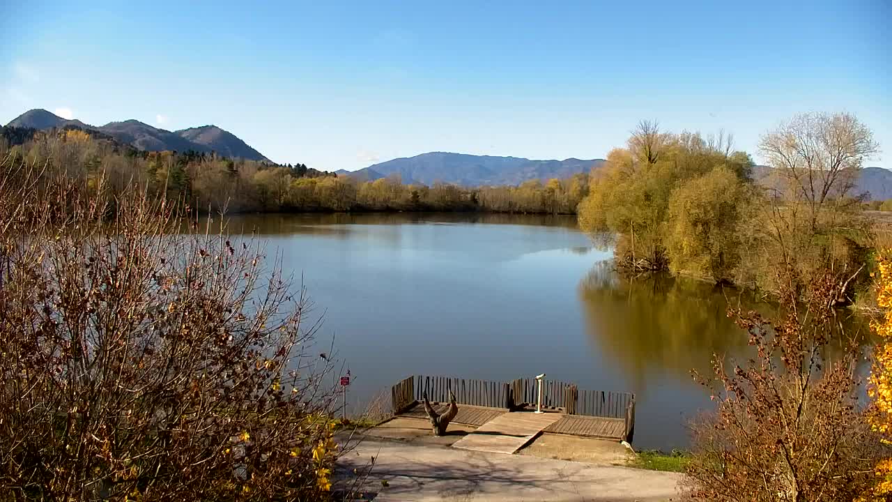 Webcam Ribnik Vrbje – Žalec