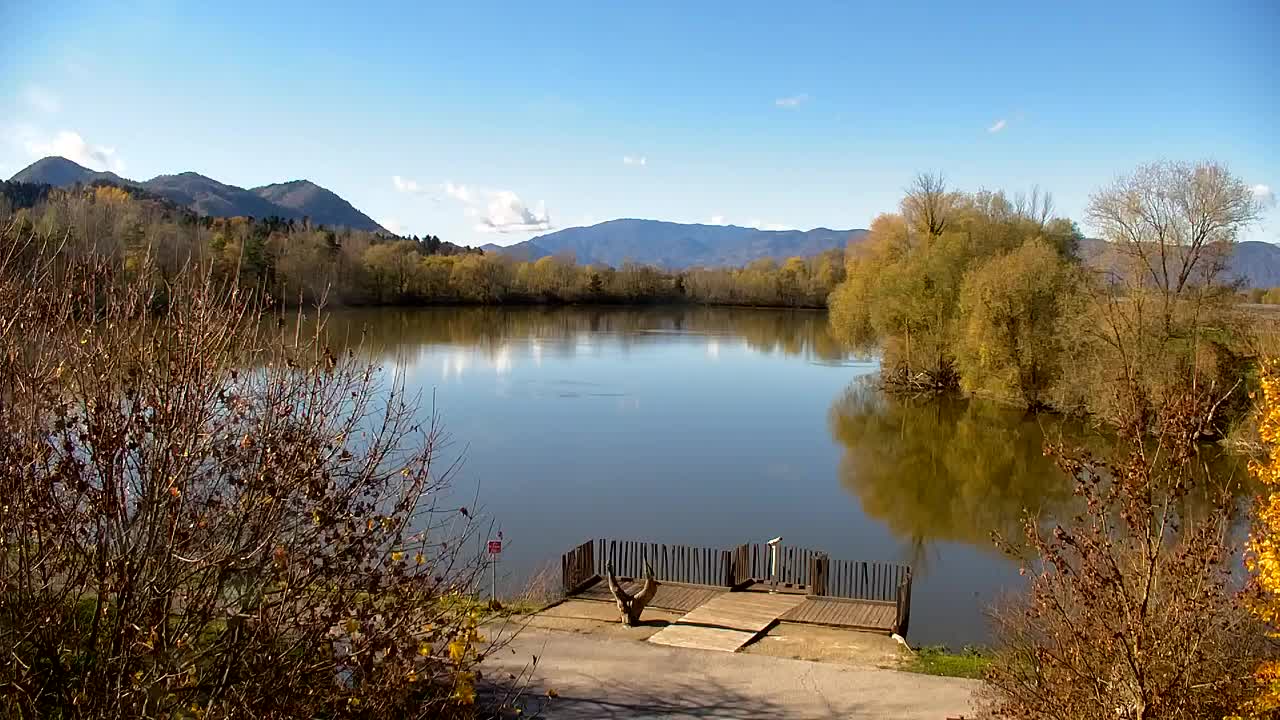 Web kamera Ribnik Vrbje – Žalec