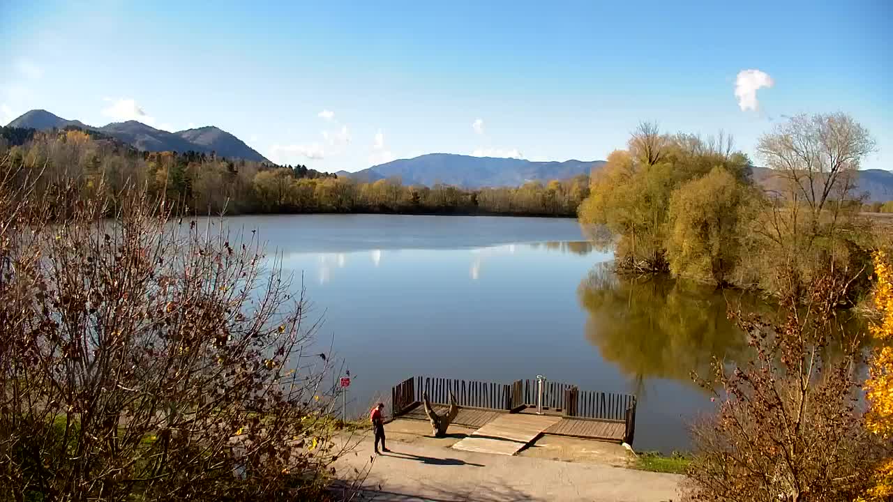 Webcam Ribnik Vrbje – Žalec