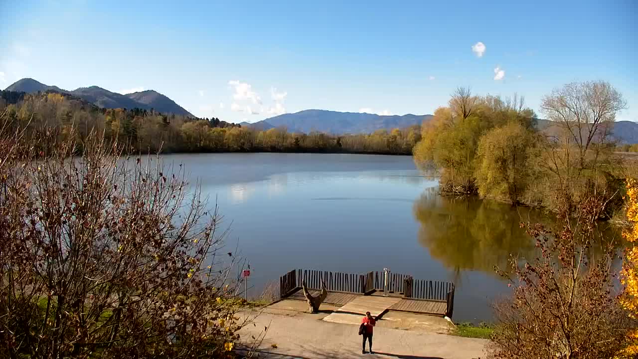 Webcam Ribnik Vrbje – Žalec