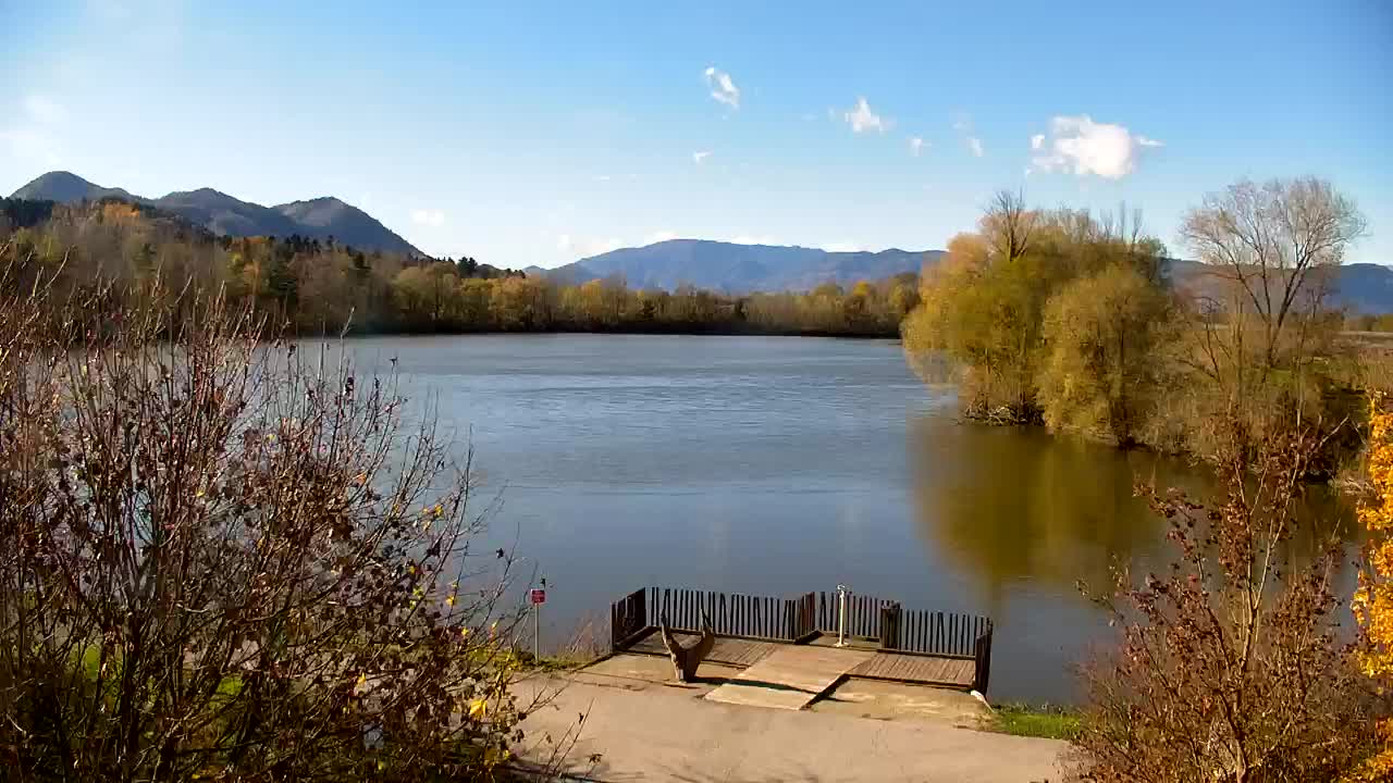 Webcam Ribnik Vrbje – Žalec