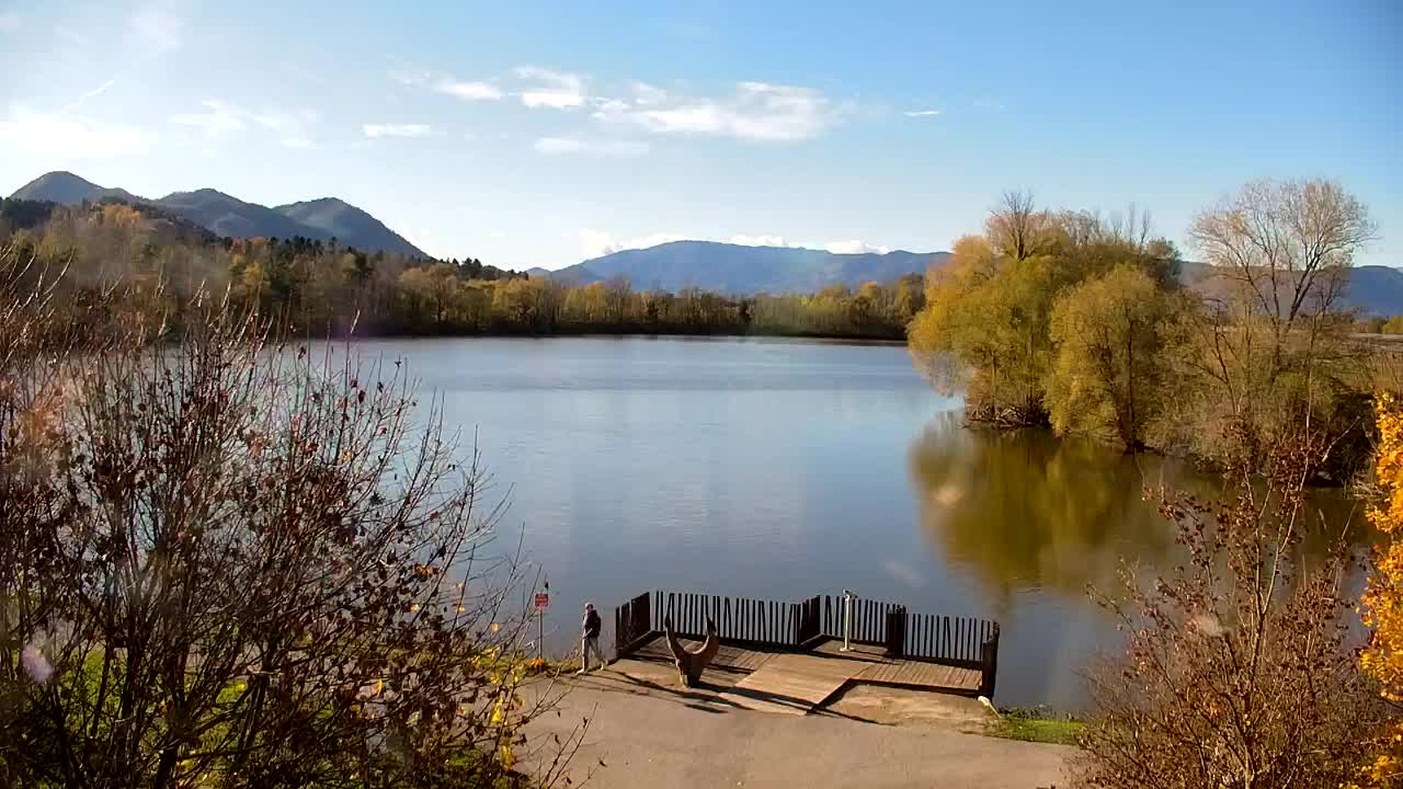 Spletna kamera Ribnik Vrbje – Žalec